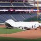 Illustration for article titled The Giants And Phillies Become Model Of Teamwork And Selflessness While Fighting Wind-Blown Tarp Together